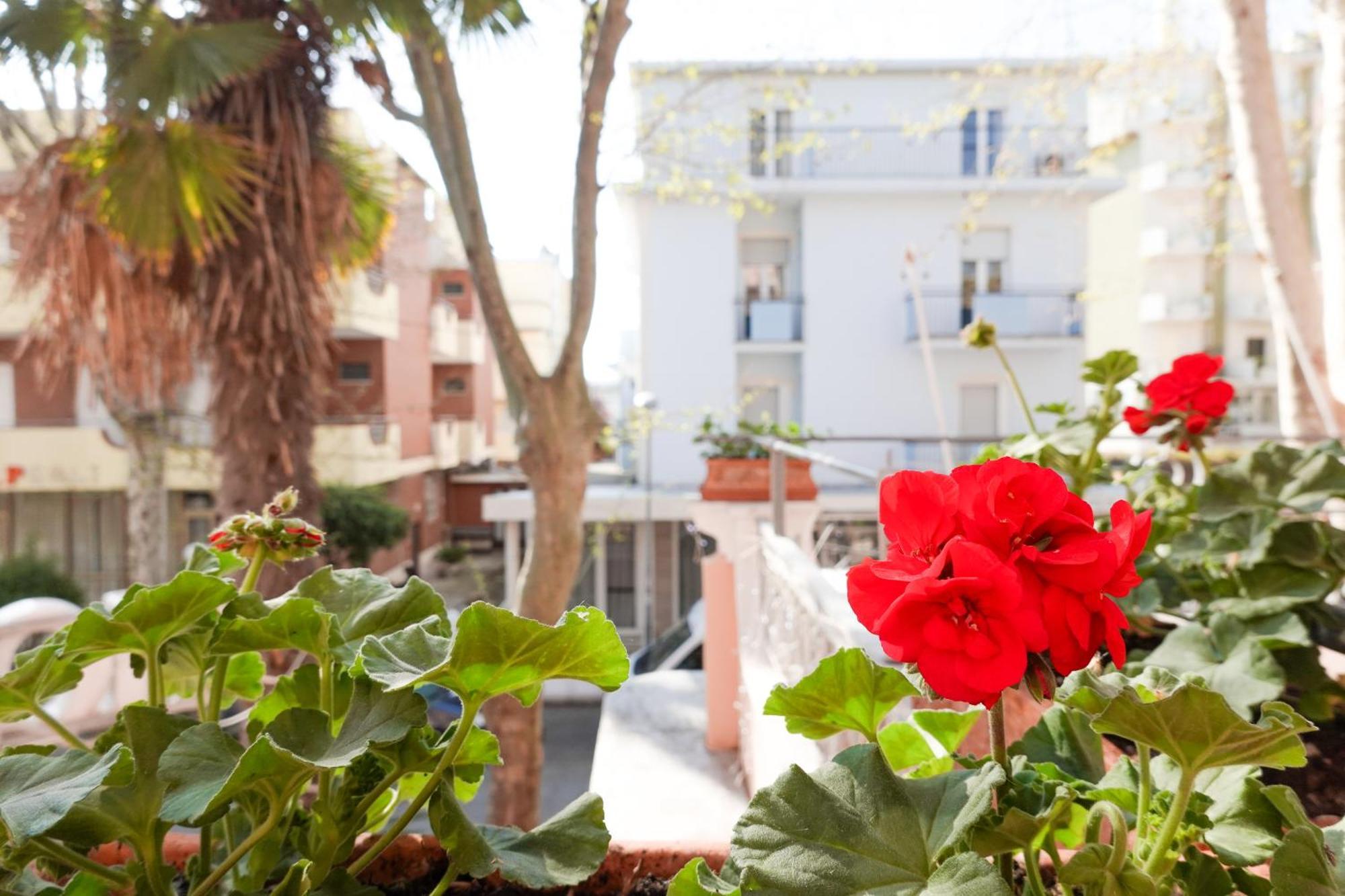 Hotel Lea B&B Pensione Completa Rimini Esterno foto